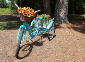 bikefinished1 container garden