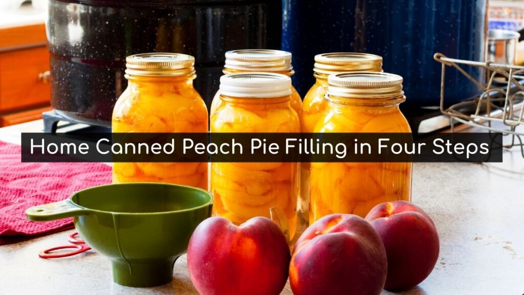 Peach Pie Filling: Home Canned Goodness in 4 Easy Steps