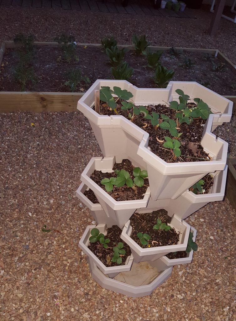 container gardening