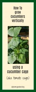 vertical gardening fall vegetables