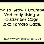 cucumber cage