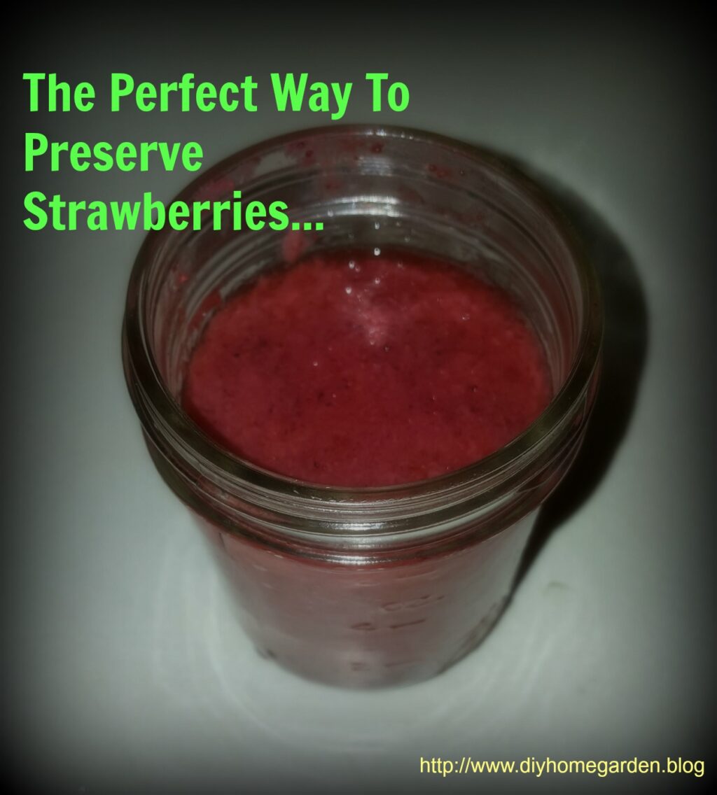 Freeze Strawberry Puree Today So You Can Enjoy the Berry Good Sweetness All Year!