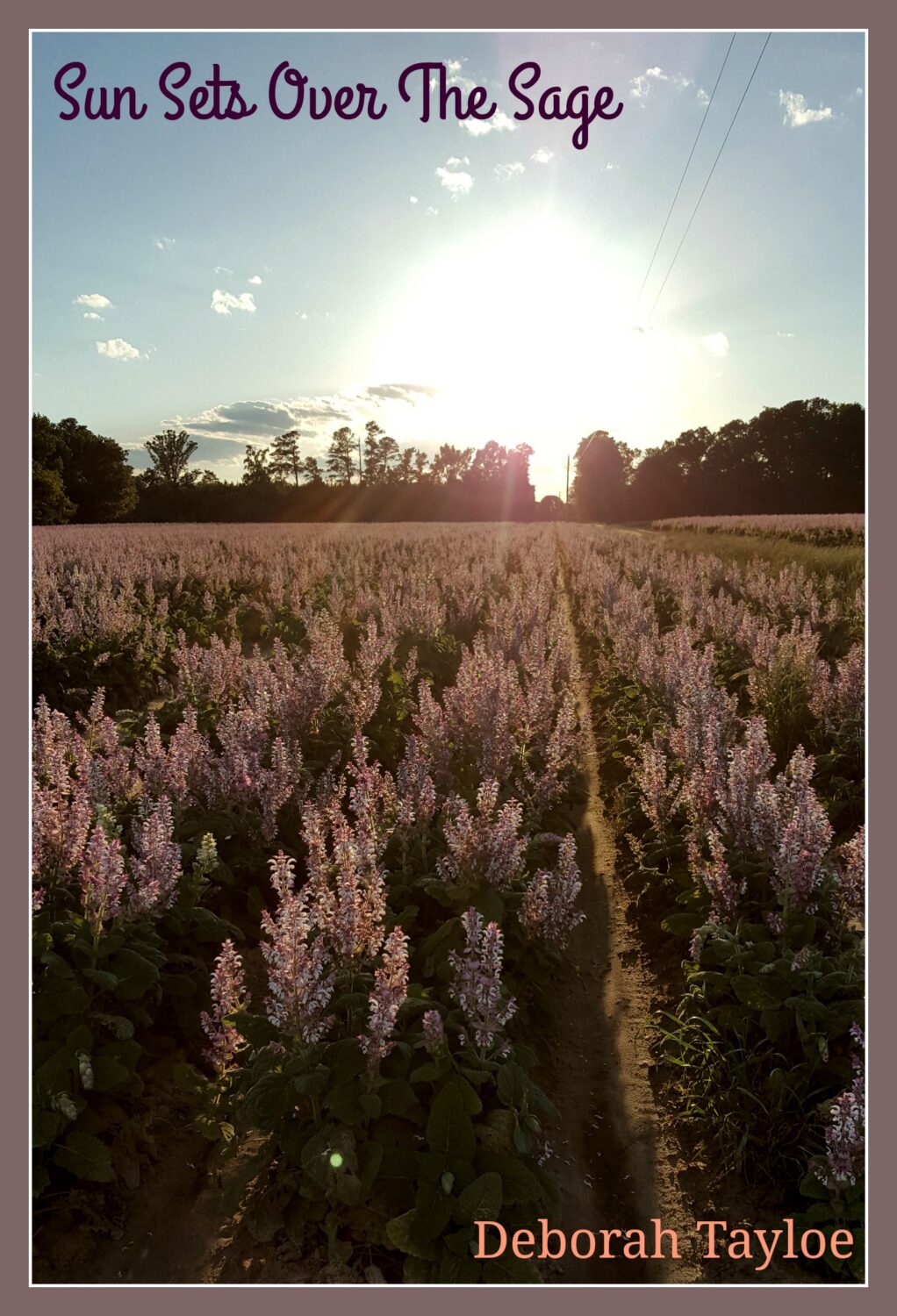 Bertie County, NC