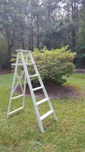 ladder upcycled