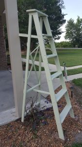 clematis trellis