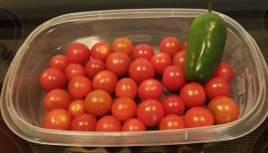 homemade cherry tomato salsa