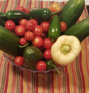 how to oven dehydrate jalapeno