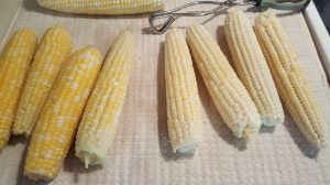 how to freeze sweet corn