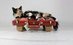 Vintage-Luggage-Pet-Beds