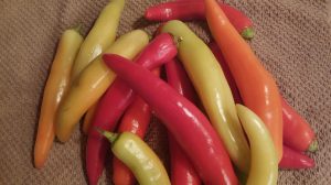 How to can banana peppers vegetables