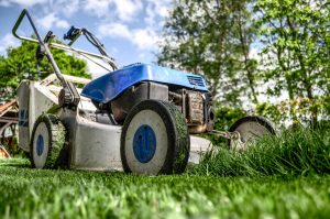 Give your garden lawn a good, final cut with the blades raised.