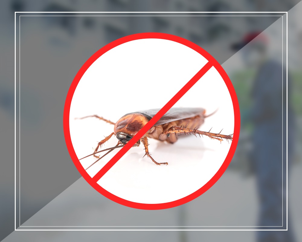 Say No To Pests With Innovative Pest Control Methods