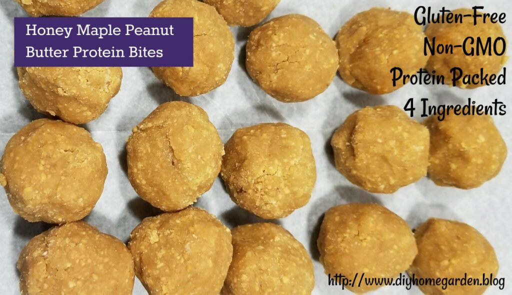 peanut butter protein bites recipe