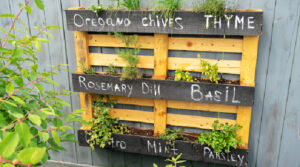 vertical garden wood pallet