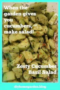 cucumber salad pin.jpg