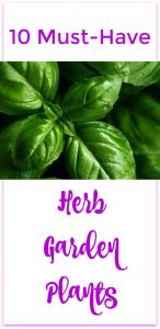 herb garden pin