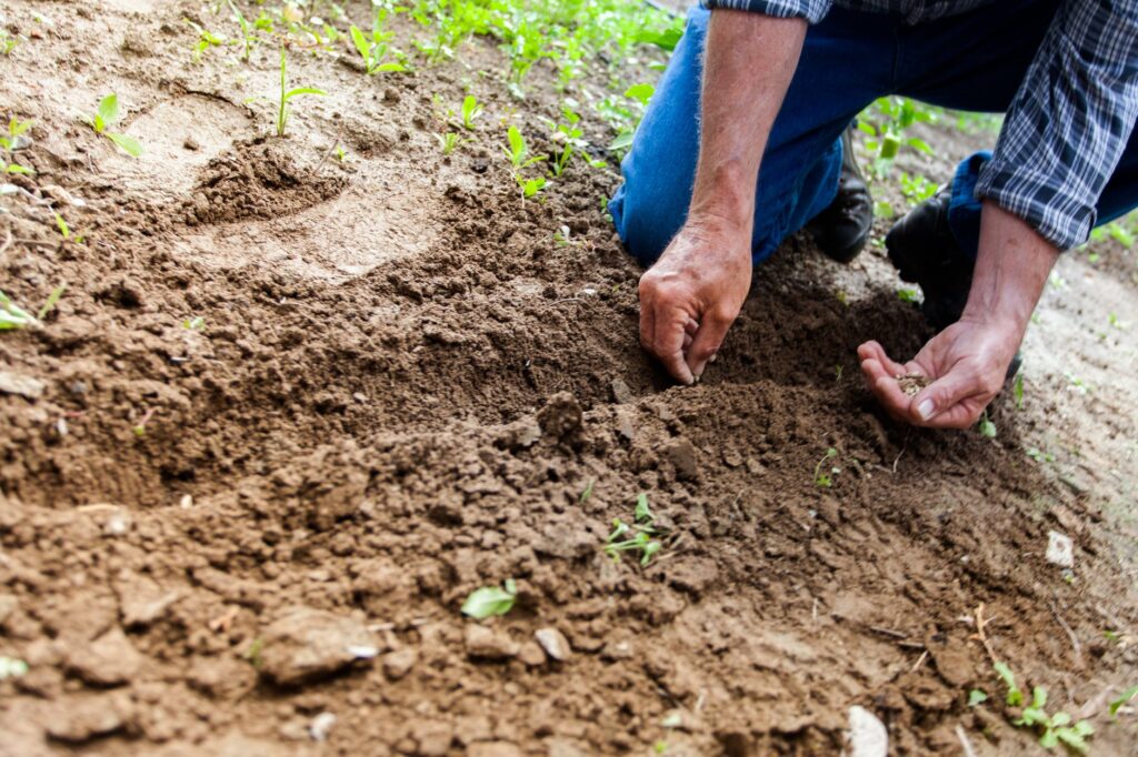 3 Ways Gardening Can Improve Your Life