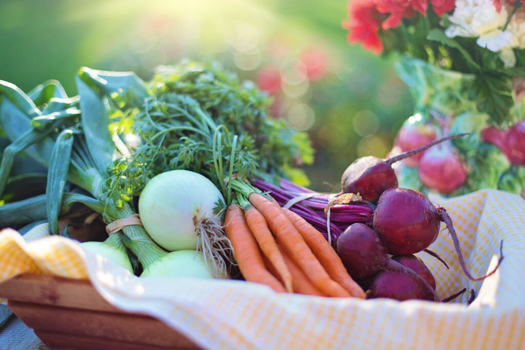6 Vegetables to Plant in Your Fall Garden
