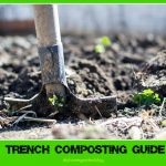trench composting