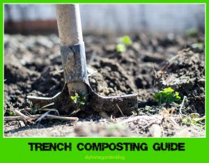 trench composting