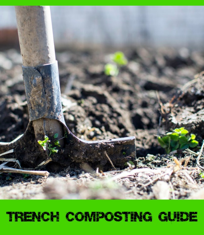 trench composting
