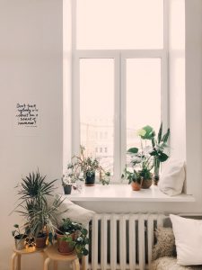 window decor 1_pexels