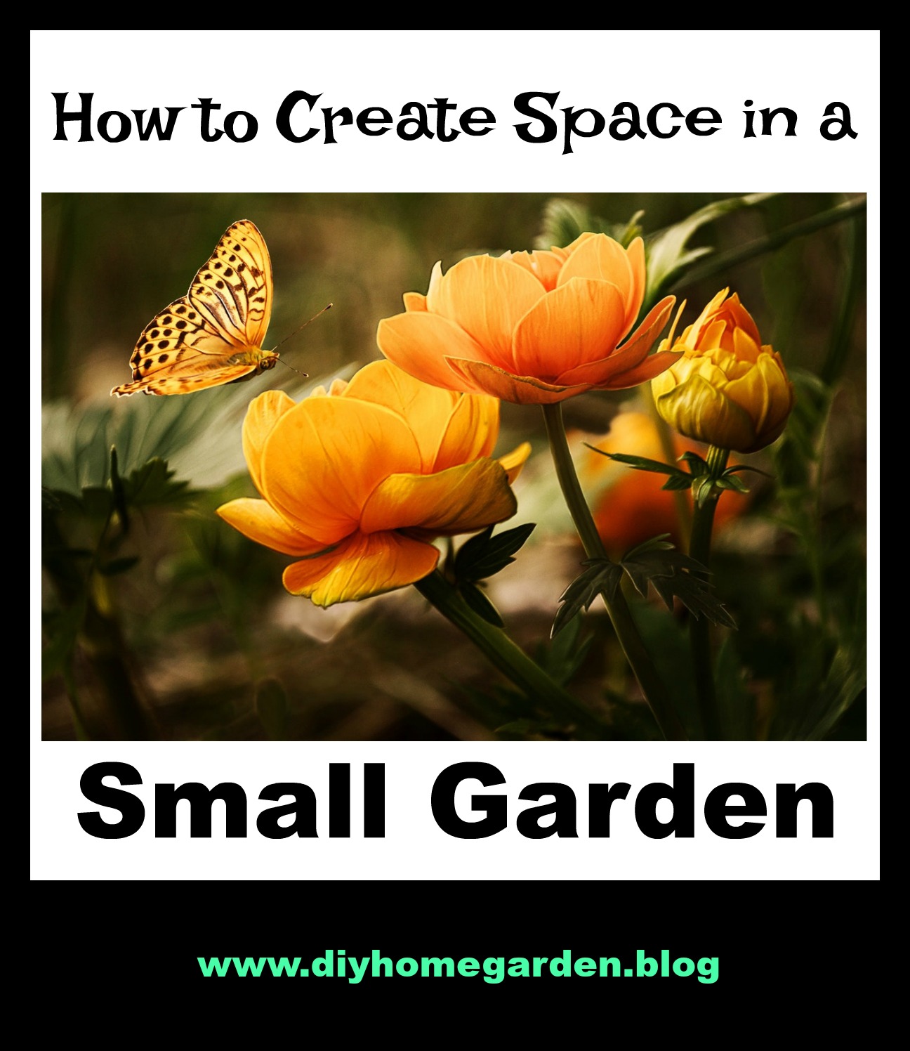 How to Create Space in a Small Garden | DIY Home & Garden