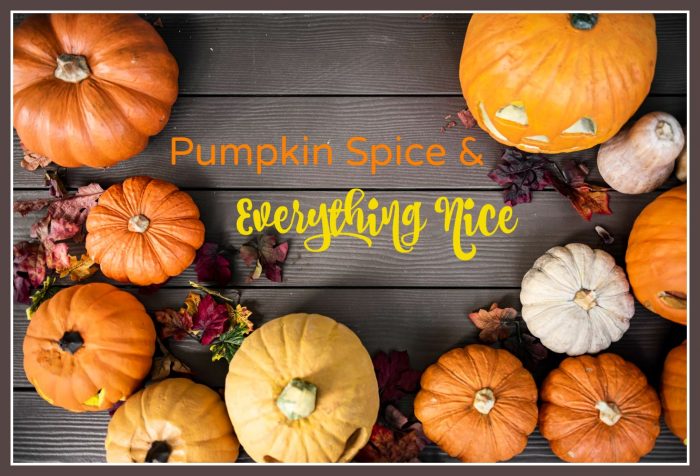How to Enjoy Pumpkin Spice & Everything Nice This Fall
