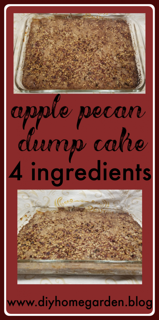 Apple Pecan Cake_Pin