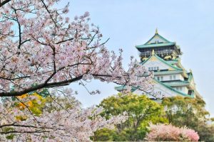 early spring flowers japanese cherry blossom