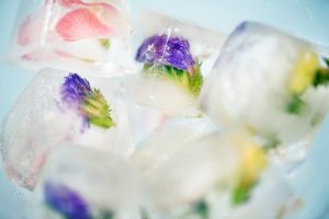 lavender ice cubes
