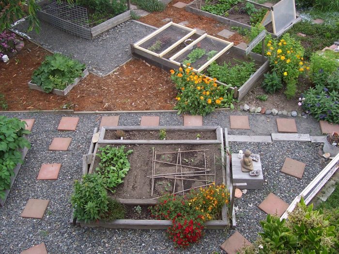 How to Plant an Urban Garden