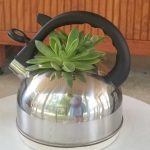 teapot succulent garden