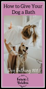 dog bath pin