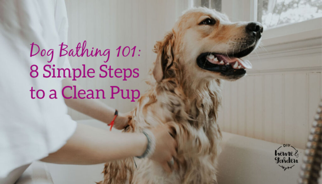 Dog Bathing 101: 8 Steps to a Clean Pup