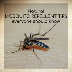 mosquito repellent