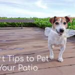 pet proof your patio