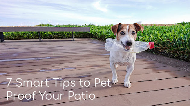 Puppy Proofing Your Home and Yard