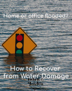 recover from water damage