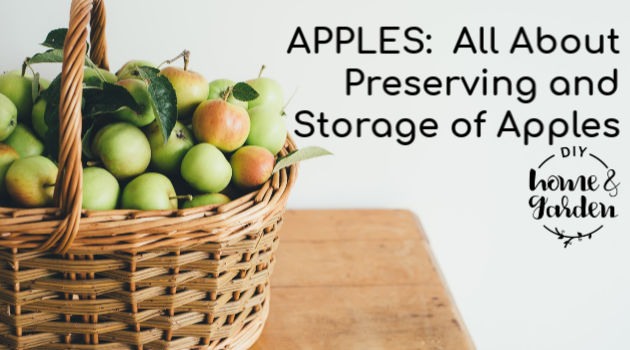 Apples Preserving and Storing