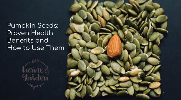 Pumpkin Seeds: Proven Health Benefits and How to Use Them