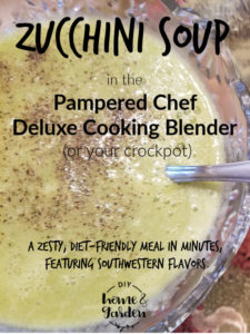 Pampered Chef Pin