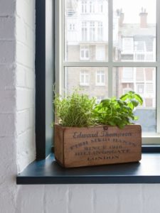 windowsill herb garden