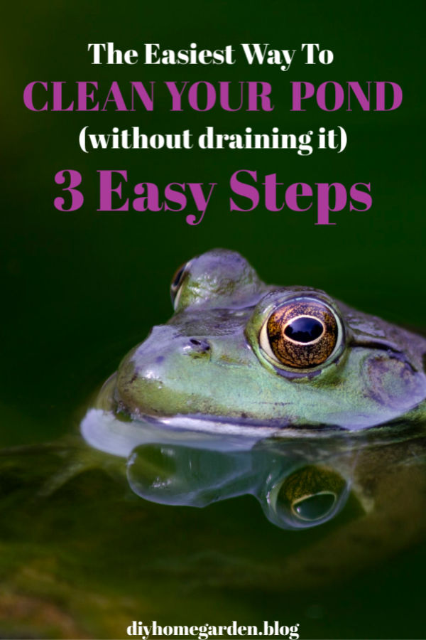 The Easiest Way To Clean Your Pond (without draining it)