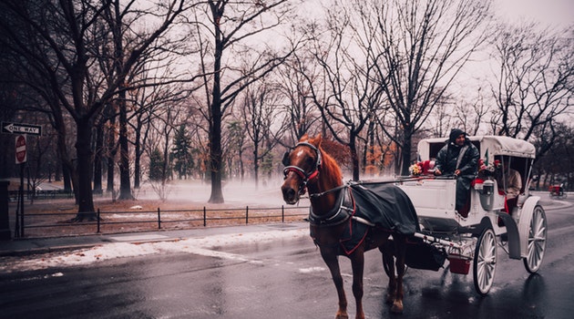 new york city central park 