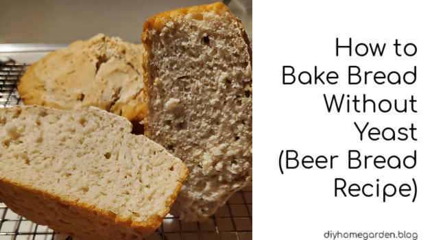 How to Bake Bread Without Yeast (beer bread)