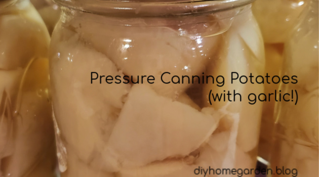 Pressure Canning Potatoes with Garlic (recipe + guide)