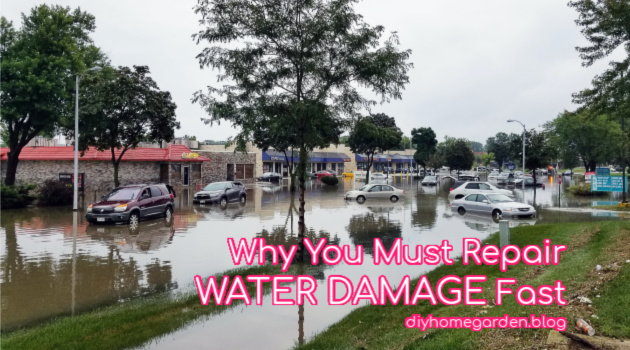 repair water damage