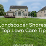 lawn care tips