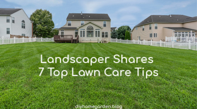Landscaper Shares 7 Top Lawn Care Tips
